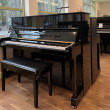 Yamaha P121 NT von 2008 in Zwart glimmend