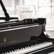 Steinway & Sons B-211 von 2021 in Zwart glimmend